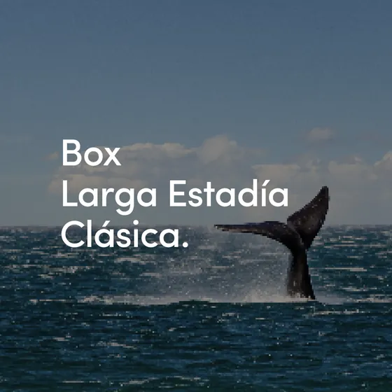 Larga Estadía Clásica
