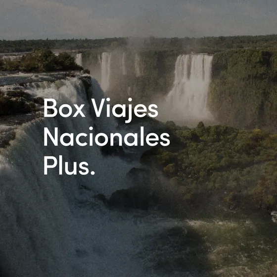 Viajes Nacionales Plus